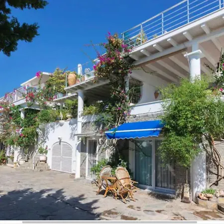 Apartment Vista Suites